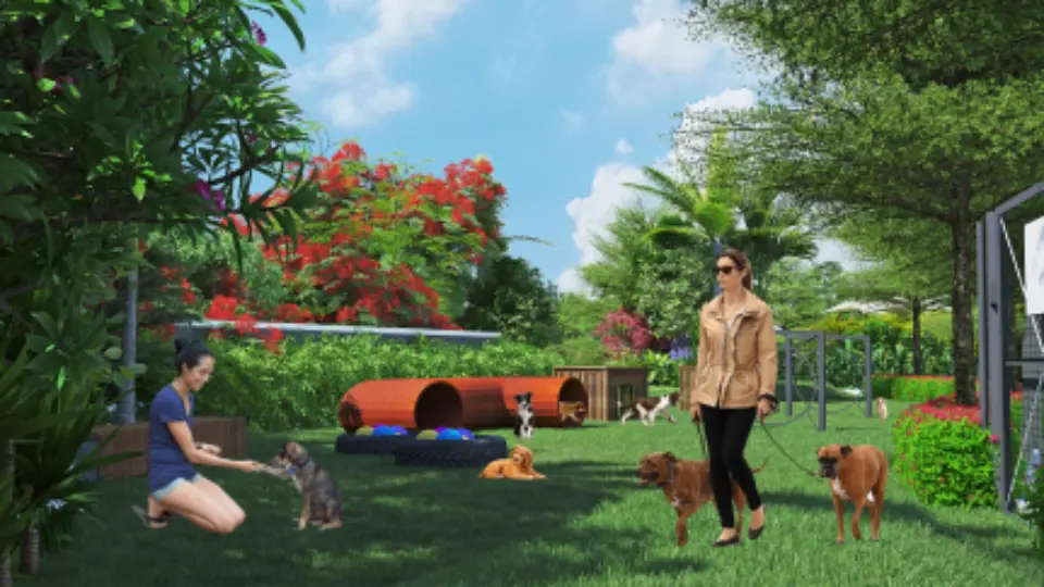 Pet Park